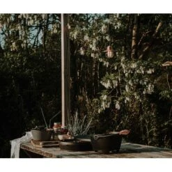 Polished Cast Iron DO - 4 Qt -Barebones Barebones20Systems20LLC CKWxx327xx22xxLSxxbf1a61