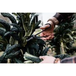 Barebones, Artisan Pruning Shears, Antique Finish, Ambidextrous Grip And Rounded Handles -Barebones Barebones20Systems20LLC GDNxx048xx24xxLSxx60d5b1