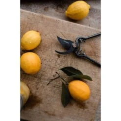 Barebones | Japanese Pruner & Sheath - Old World Japanese Design, Durable Steel Construction -Barebones Barebones20Systems20LLC GDNxx050xx21xxLSxx5b33f8