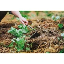 Barebones Walnut Triangle Hoe - Heat-treated 2CR13 Stainless Steel Blade 14 Barebones Walnut Triangle Hoe - Heat-treated 2CR13 Stainless Steel Blade -Barebones Barebones20Systems20LLC GDNxx091xx21xxLSxx7f8f33