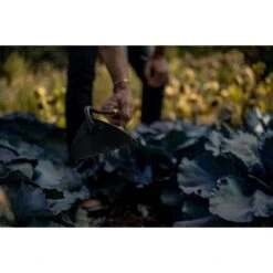 Barebones Walnut Triangle Hoe - Heat-treated 2CR13 Stainless Steel Blade 13 Barebones Walnut Triangle Hoe - Heat-treated 2CR13 Stainless Steel Blade -Barebones Barebones20Systems20LLC GDNxx091xx23xxLSxxffe6d2