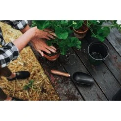 Barebones Garden Scoop 14 Barebones Garden Scoop -Barebones Barebones20Systems20LLC GDNxx092xx23xxLSxx631f74