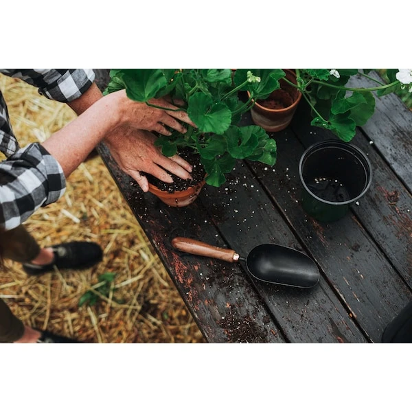 Barebones Garden Scoop 7 Barebones Garden Scoop - Image 5