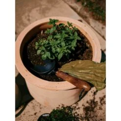 Barebones Garden Scoop 16 Barebones Garden Scoop -Barebones Barebones20Systems20LLC GDNxx092xx24xxLSxx79651f