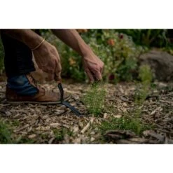 Barebones Dandelion Weeding Fork - Walnut Handle, Heat-treated 410 Stainless Steel -Barebones Barebones20Systems20LLC GDNxx093xx21xxLSxx031158