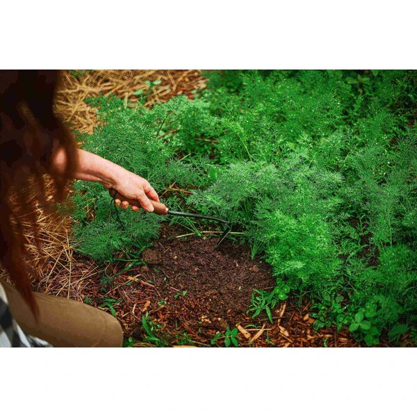 Barebones Japanese Weeding Hoe - Heat-treated 2CR13 Stainless Steel Blade 9 Barebones Japanese Weeding Hoe - Heat-treated 2CR13 Stainless Steel Blade - Image 7