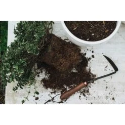 Barebones Japanese Weeding Hoe - Heat-treated 2CR13 Stainless Steel Blade 14 Barebones Japanese Weeding Hoe - Heat-treated 2CR13 Stainless Steel Blade -Barebones Barebones20Systems20LLC GDNxx094xx23xxLSxx738508