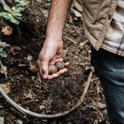 Barebones Wire Saw -Barebones DSCF8916