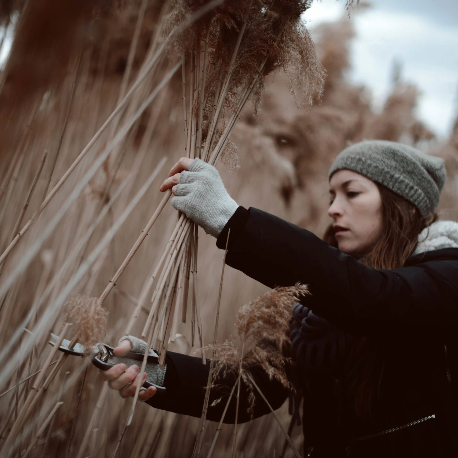 Barebones Pruner 8 Barebones Pruner - Image 6