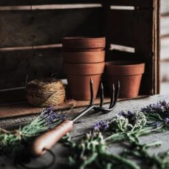 Barebones Cultivator -Barebones GDN 090 Cultivator WalnutBlack PDP 06