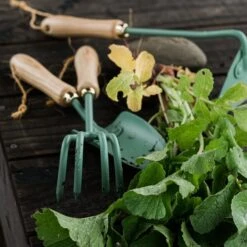 Barebones Cultivator -Barebones GDN 676 Cultivator AshMint PDP 05