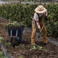 Barebones Folding Spading Fork -Barebones HMS 2099 FoldingSpadingFork PDP 10 947b14b7 114d 4e67 bd6f bc00879d15dc