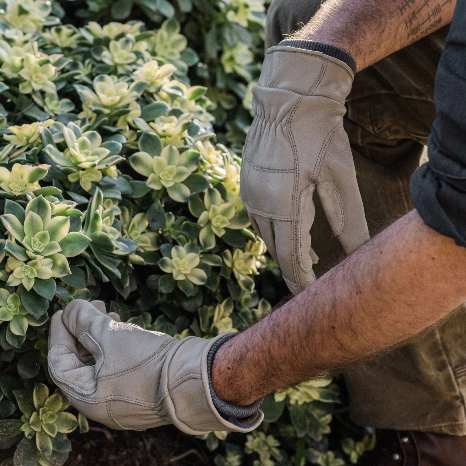 Barebones Kunar Utility Glove 14 Barebones Kunar Utility Glove - Image 12