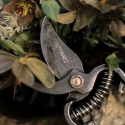 Barebones Pruner 20 Barebones Pruner -Barebones PS07