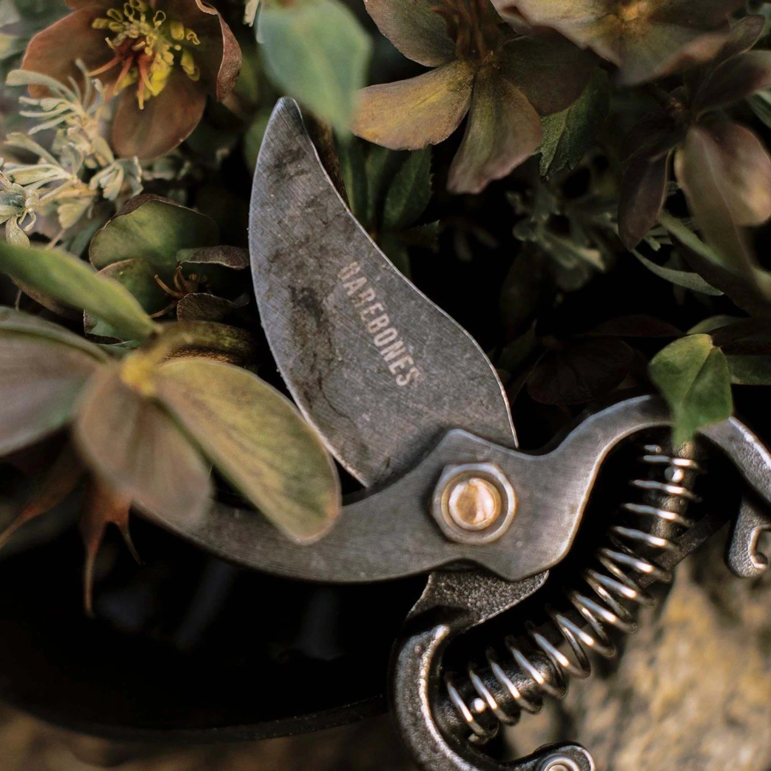 Barebones Pruner 10 Barebones Pruner - Image 8