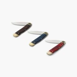 Single Blade Folding Pocket Knife