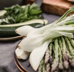 Barebones Enamelware Dining Collection - Slate Gray -Barebones Sa10