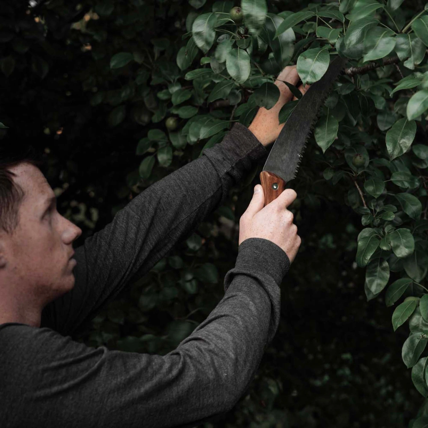 Barebones Timber Saw 7 Barebones Timber Saw - Image 5