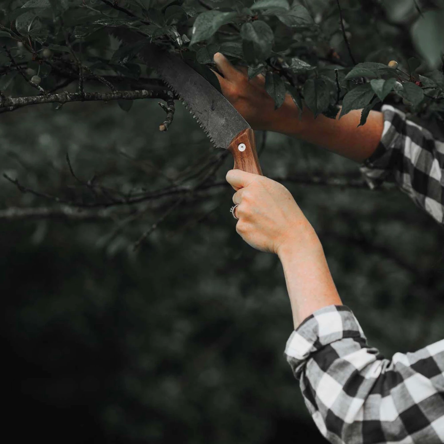 Barebones Timber Saw 5 Barebones Timber Saw - Image 3