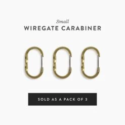 Barebones Wiregate Carabiners - 3 Sizes -Barebones WiregateCarabiner Gold Small PDP Label