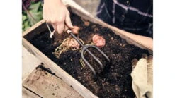 Barebones Cultivator Hand Tool -Barebones opplanet barebones cultivator hand tool wooden handle heat treated stainless steel blade gdn 053 av 2