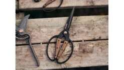 Barebones Large Scissors With Ambidextrous Grip -Barebones opplanet barebones large scissors wooden handle 4in heat treated stainless steel blade gdn 058 av 3