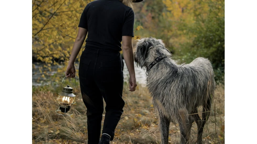 Barebones Railroad Lantern 15 Barebones Railroad Lantern - Image 13