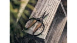 Barebones Small Scissors With Ambidextrous Grip 10 Barebones Small Scissors With Ambidextrous Grip -Barebones opplanet barebones small scissors wooden handle 2in heat treated stainless steel blade gdn 059 av 3