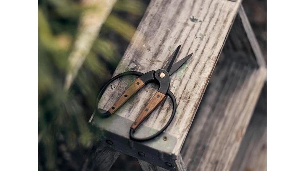 Barebones Small Scissors With Ambidextrous Grip 6 Barebones Small Scissors With Ambidextrous Grip - Image 4