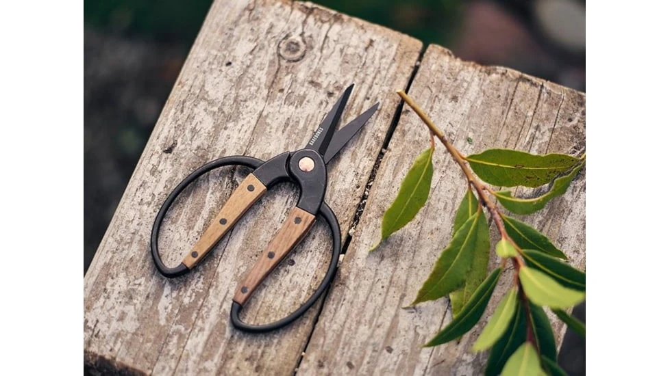Barebones Small Scissors With Ambidextrous Grip 7 Barebones Small Scissors With Ambidextrous Grip - Image 5