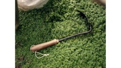 Barebones Square Hand Hoe -Barebones opplanet barebones square hand hoe wooden handle heat treated stainless steel blade gdn 054 av 4